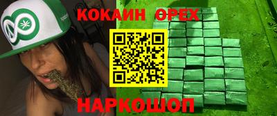 стаф Будённовск