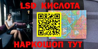 стаф Будённовск