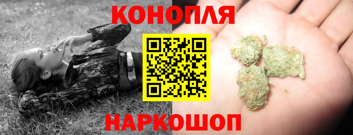 Каннабис план Кореновск